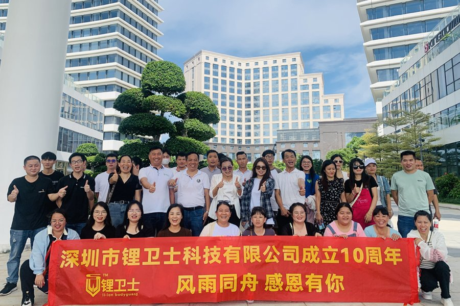 Lws Smart BMS 4s-16s 100A 48V LiFePO4 Battery Management System BMS