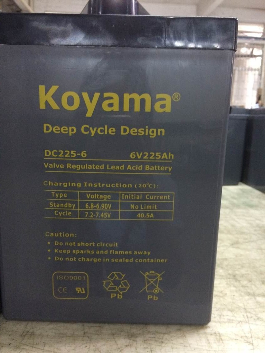 6V225ah Deep Cycle Battery Gel Battery for Marine / Golf Cart /Electric Vehicle