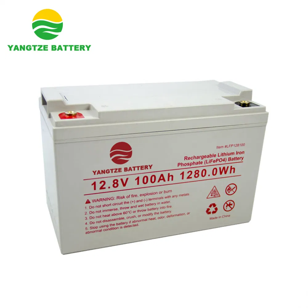 Deep Cycle Lithium Li Ion Lithium Battery Cell 12V 100ah