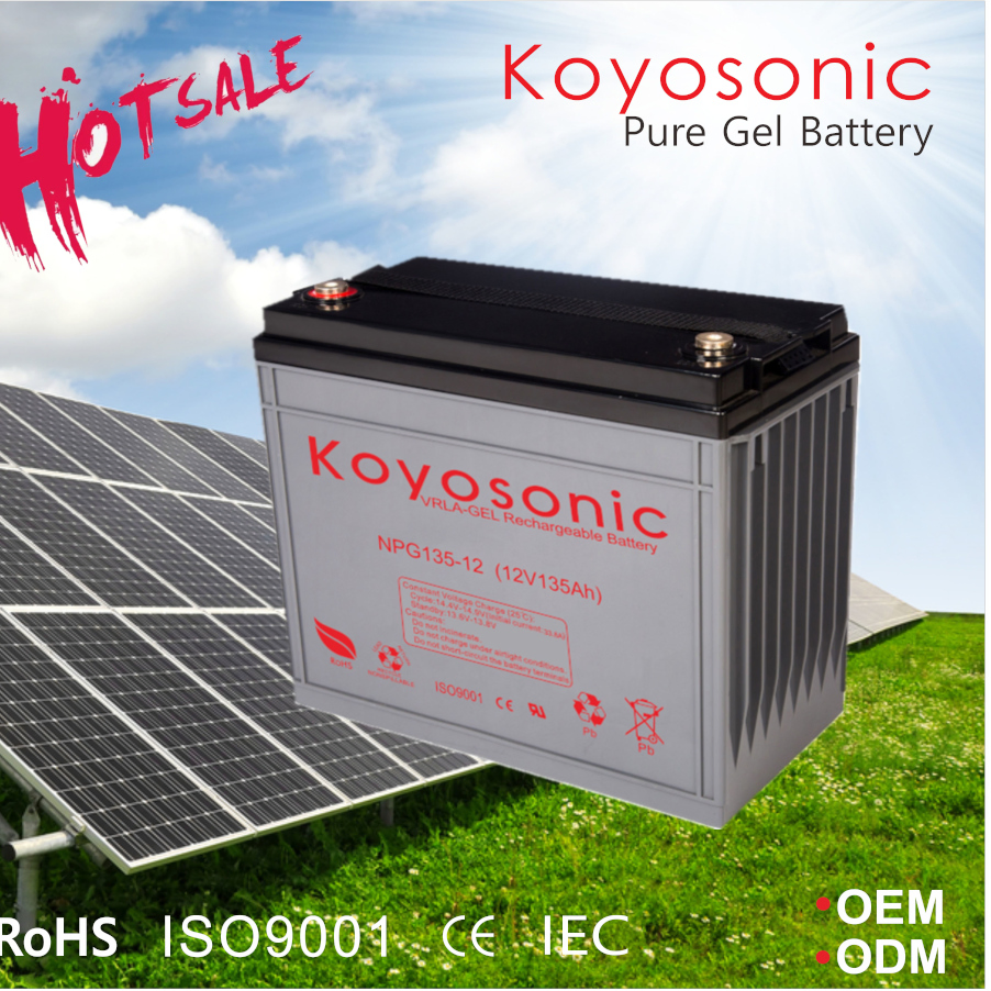 Koyosonic 200ah Battery Gel Battery Deep Cycle Battery with 3000 Cycles