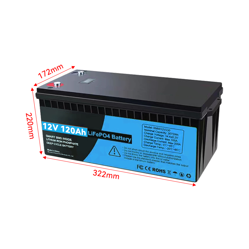 12V 120ah LiFePO4 Lithium Battery Pack 12.8V 24V 36V 100ah 200ah 280ah 300ah Battery Pack for Electric Vehicle Motorcycle