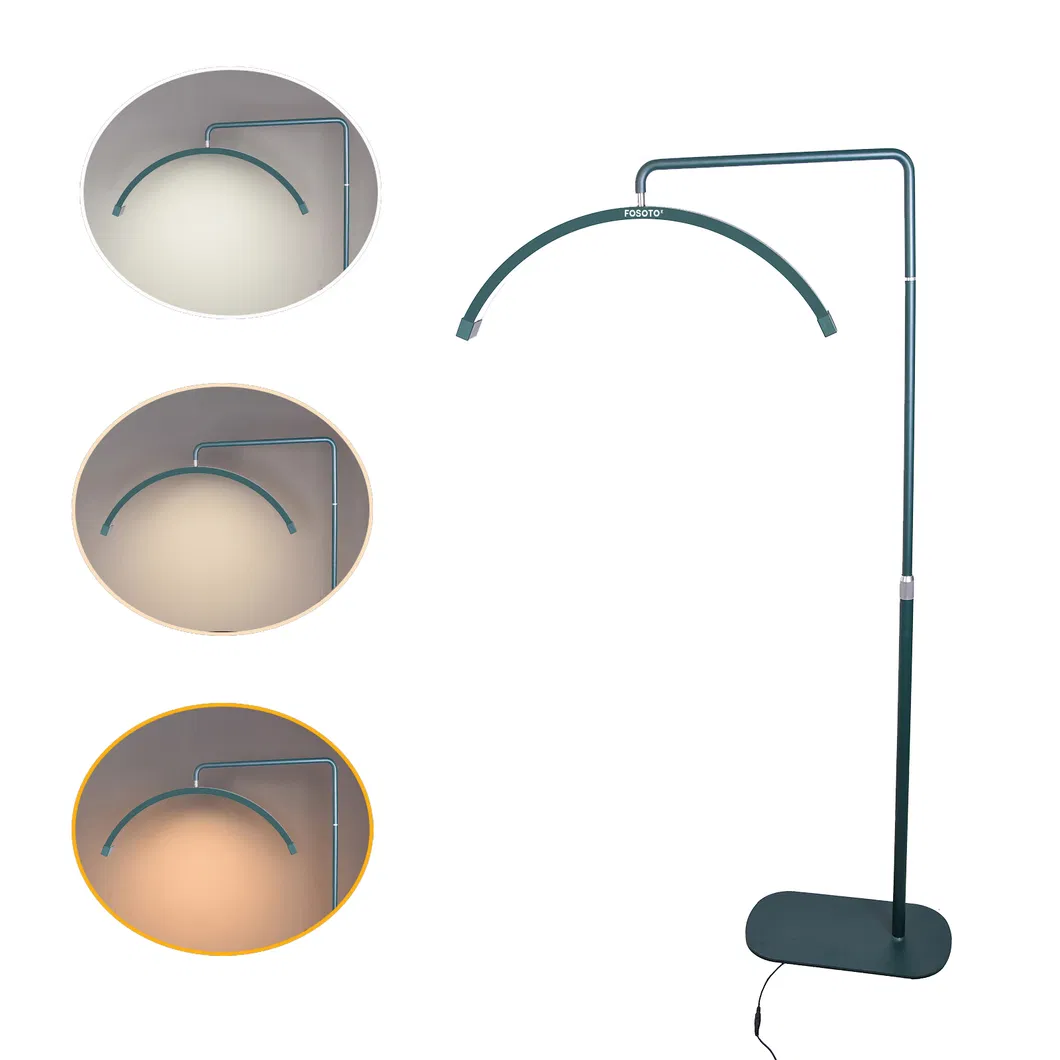 مصباح أرضي على شكل نصف قمر ضوء LED حلقي