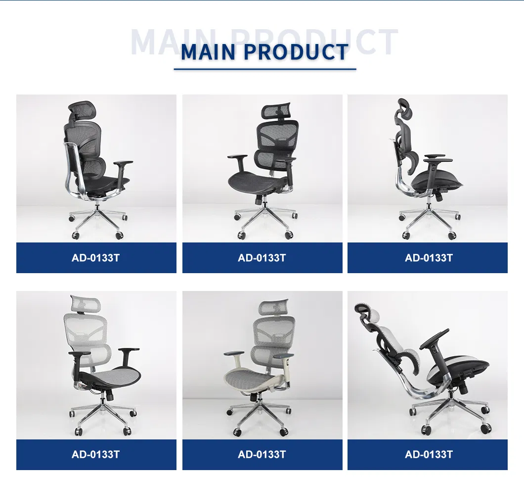 Ergonomic Chair Overview