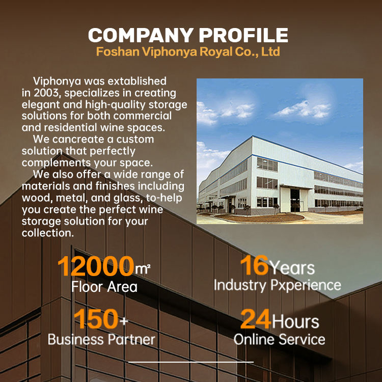 Elegant Wall-Mounted Stainless Steel Liquor Storage Rack with LED Lighting Features