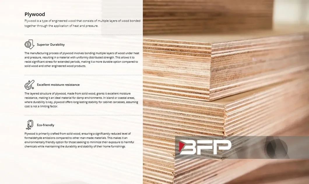 Plywood Carcass Features