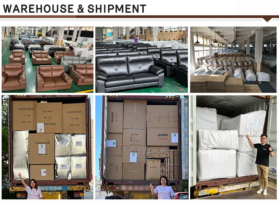 International Logistics