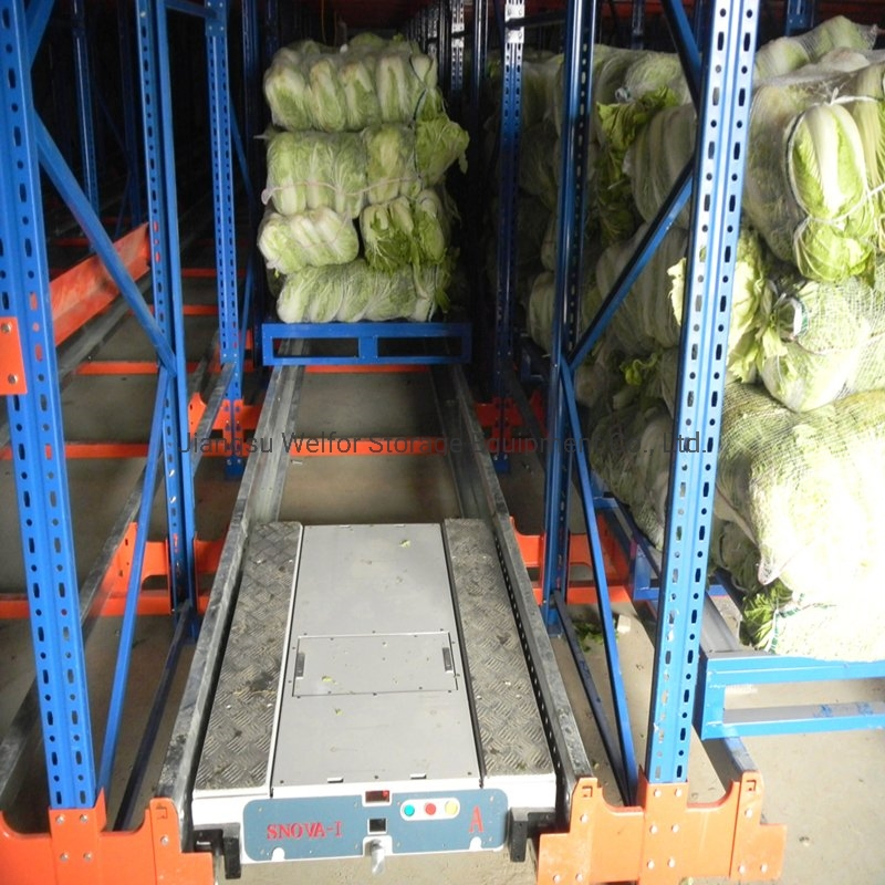Heavy Duty Steel Customized Radio Shuttle Pallet Racking for Industrial Warehouse Storage