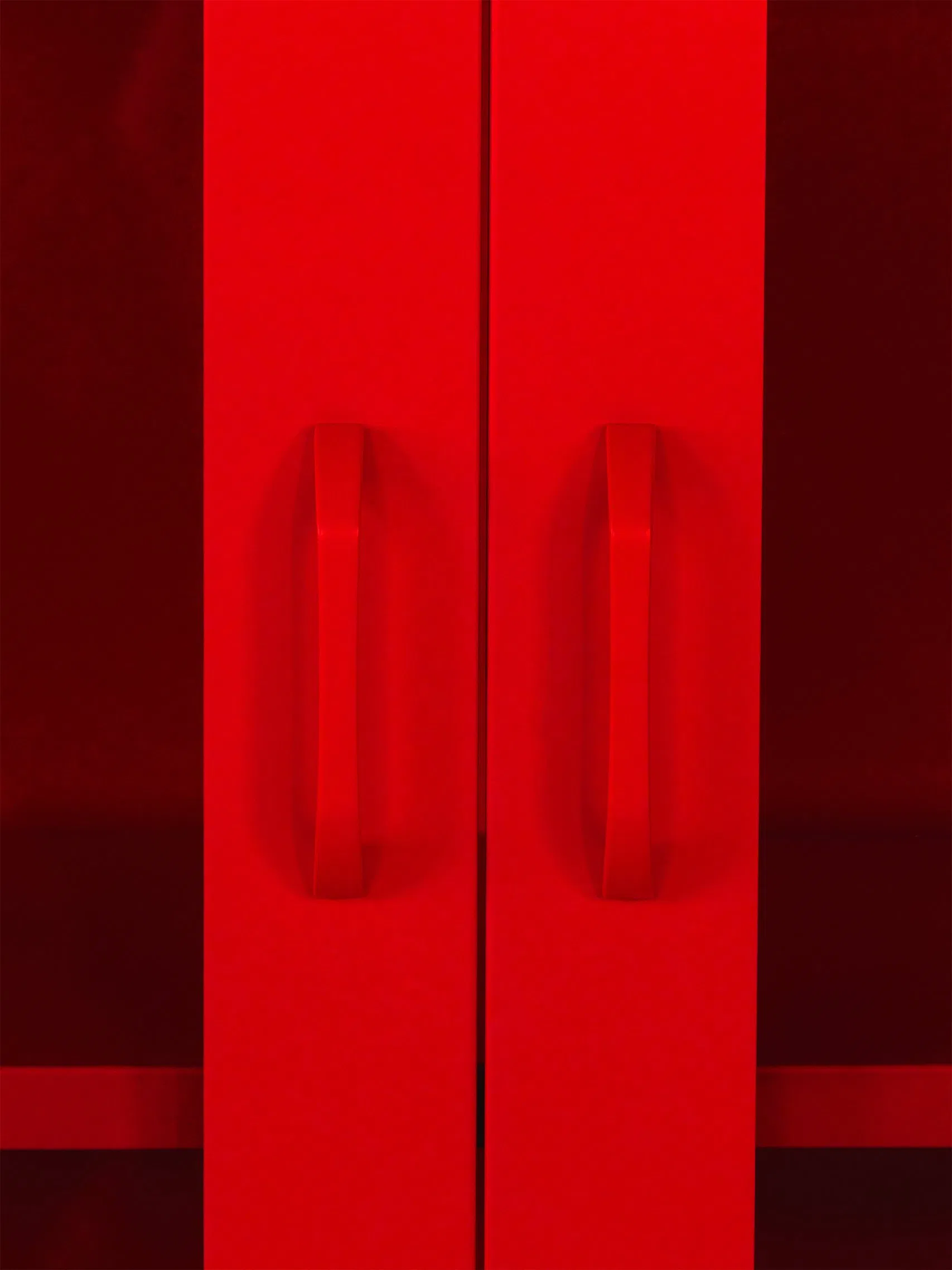 Home Use Standing 2 Door Metal Locker Sideboard Steel Storage Cabinets