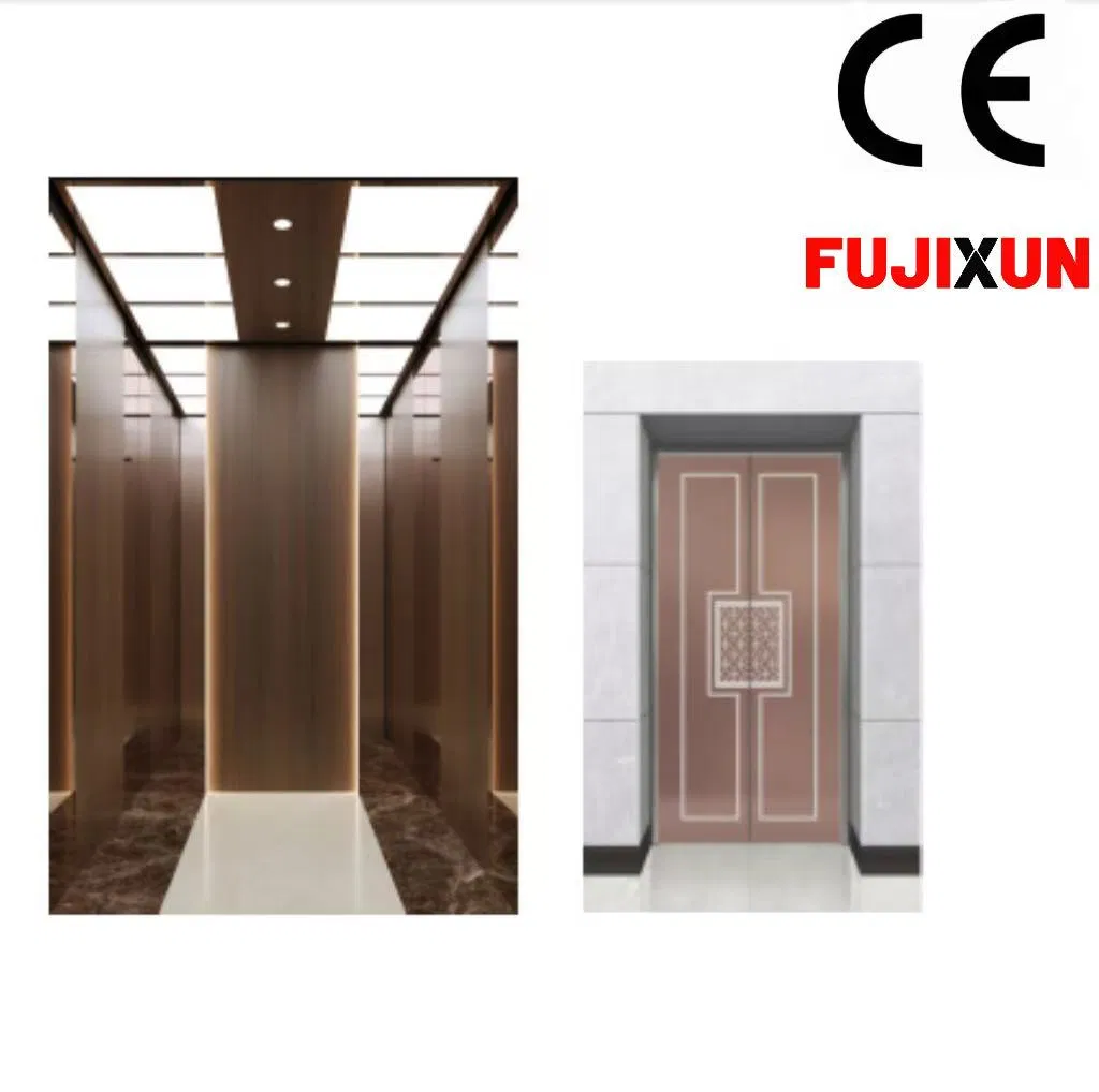 OEM FUJI Brand Beautiful Villa Home Passenger Elevator Lift