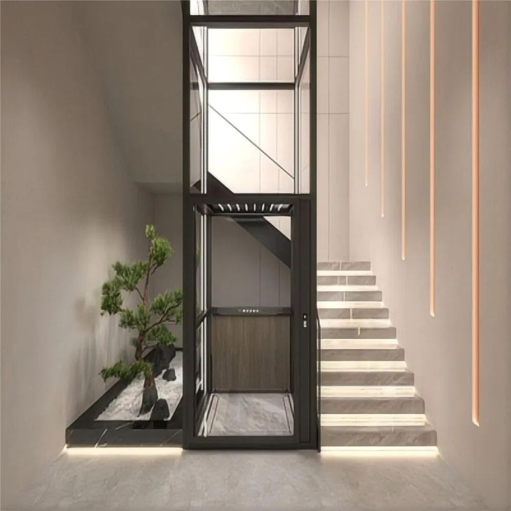Good Price Home Building Lift Residential High Technology Personal Passenger Elevator Maintenance-Free