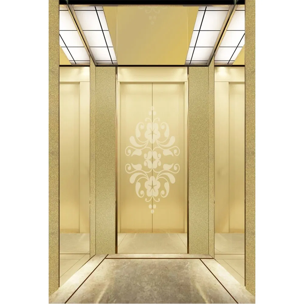 Hyundai Passenger Elevator Price House Customized Residential Lift Elevator