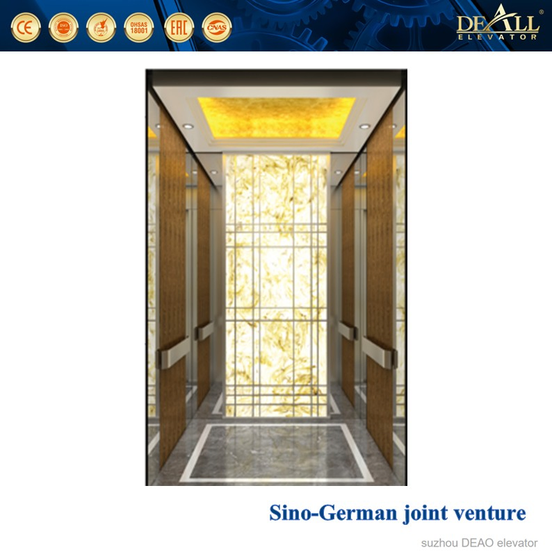 China Residential Elevator for Domestic Lift Elevator Villa Elevator