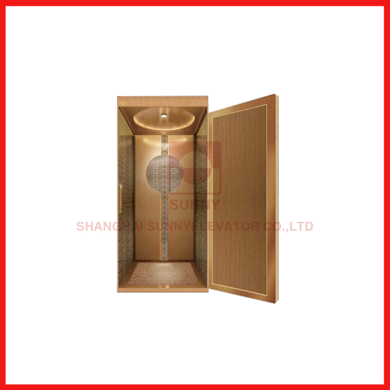 Vvvf Villa Home Panoramic Sightseeing Glass Passenger Elevator Lift