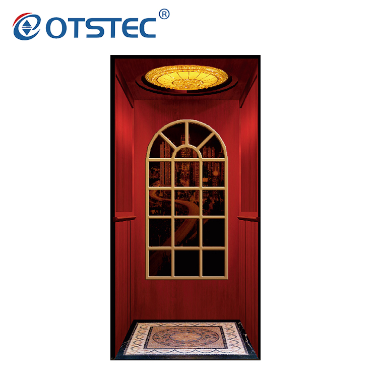 Otstec Modern and Luxury Customized Home LFT Villa Elevator
