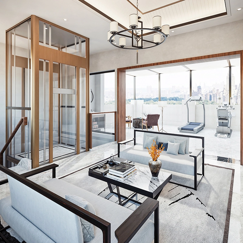 Vertical Disable Elderly House Lift Platform Hydraulic Handicap Home Villa Wheelchair Residential Passenger Observation Glass Sightseeing Elevator