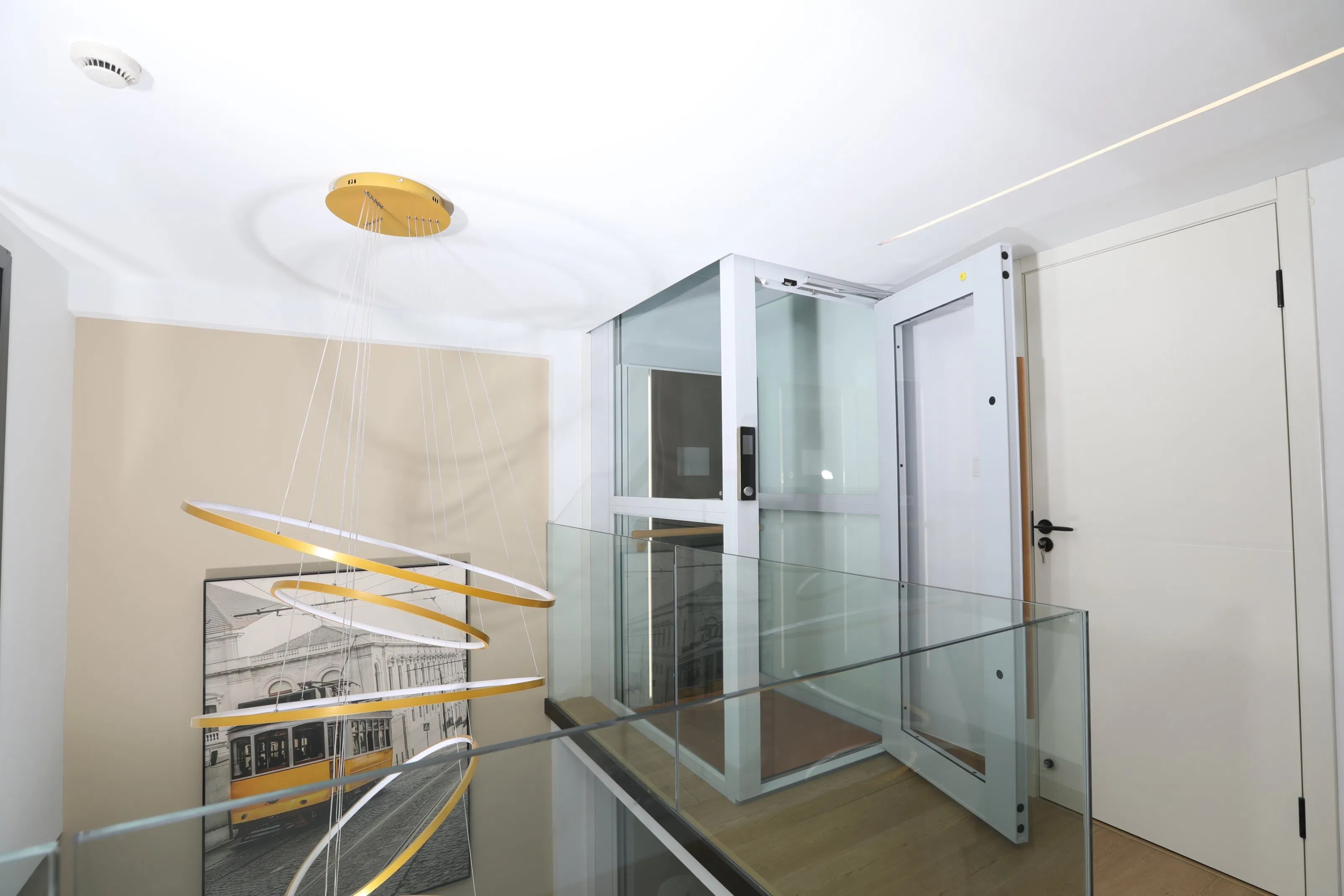 Vertical Disable Elderly House Lift Hydraulic Platform Handicap Home Villa Wheelchair Residential Passenger Observation Glass Sightseeing Lift