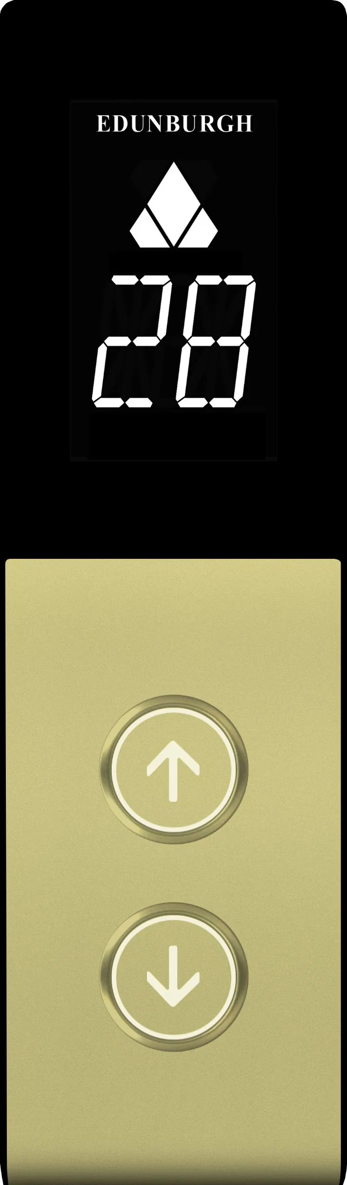 Electric Mirror Etching Stainless Steel Villa Home Panoramic Freight Cargo Car Goods Residential Sightseeing Elevator