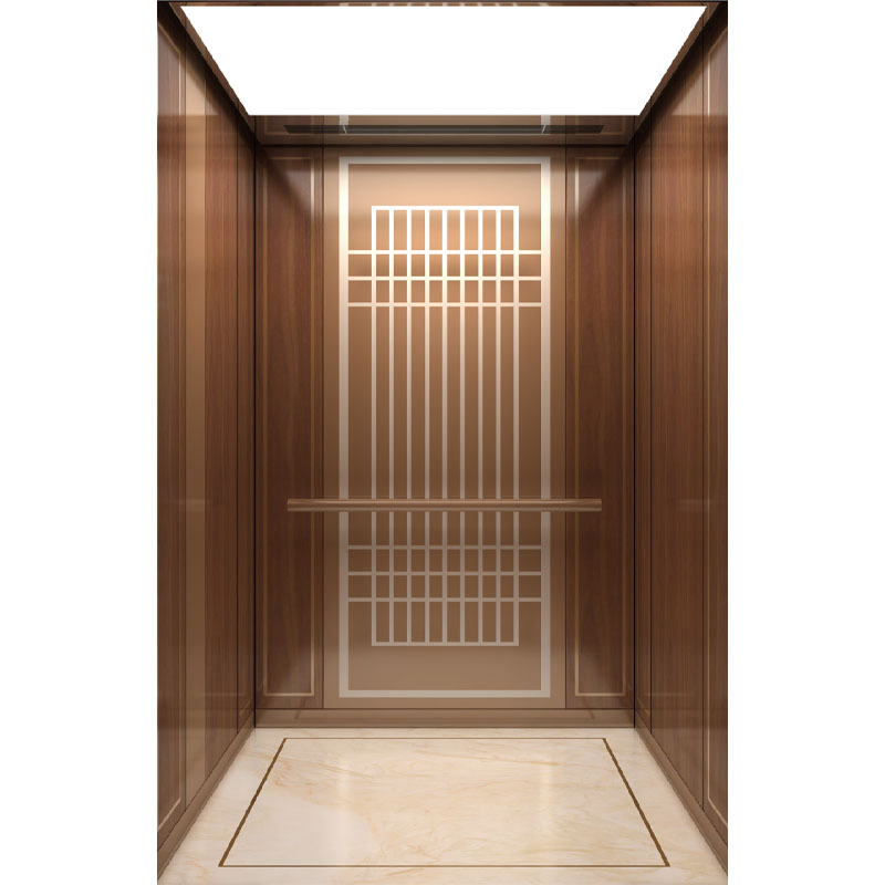 China Luxury Commercial Hotel Lift Passenger Elevator