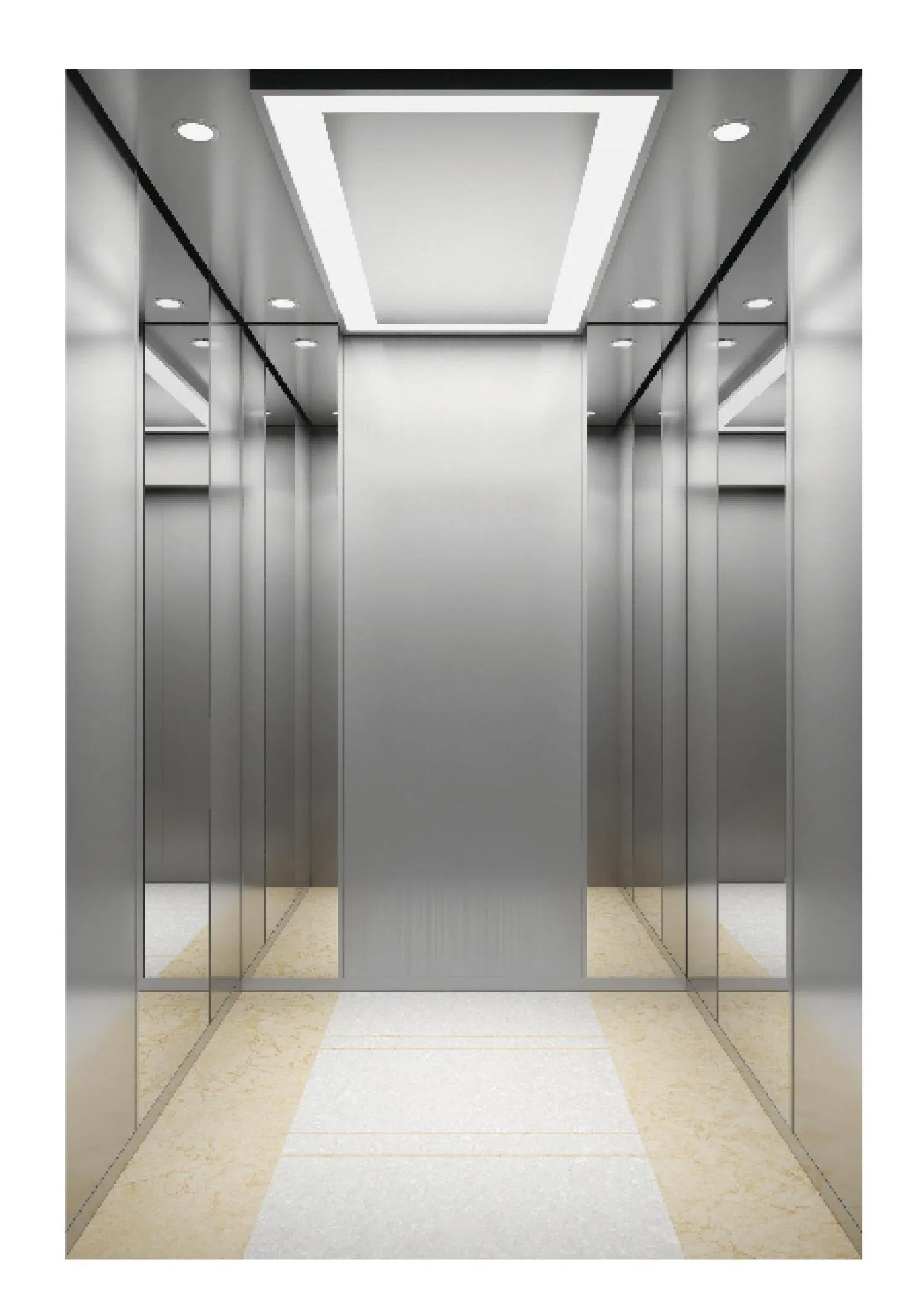 Hot Sale Hairline Stainless Steel Passenger Elevator with Low Cost Villa Elevator