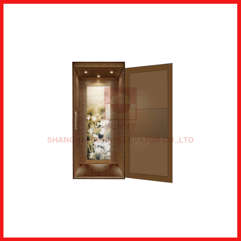 Vvvf Villa Home Panoramic Sightseeing Glass Passenger Elevator Lift