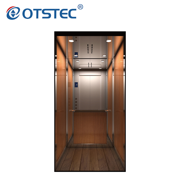 Otstec Modern and Luxury Customized Home LFT Villa Elevator