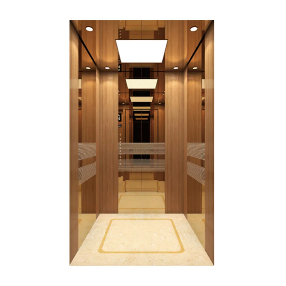 FUJI Customized Economical Residential Passenger Elevator Commercial Hotel Lift Elevator