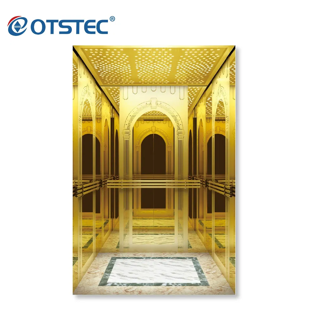 Otstec Standard Residential Elevator for Home Customized 4-8 Persons Passenger Lift