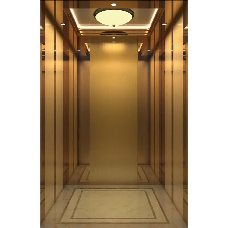 Luxury Commercial Hotel Lift Passenger Elevator