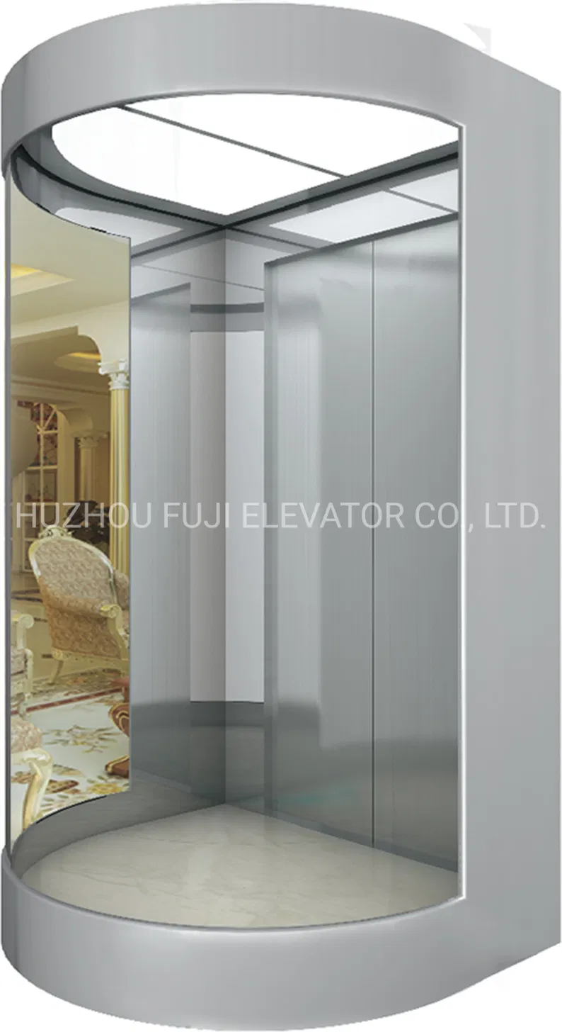 FUJI Elevator with Cheap Price Home Elevator Villa Lift China Lift Manufacturer