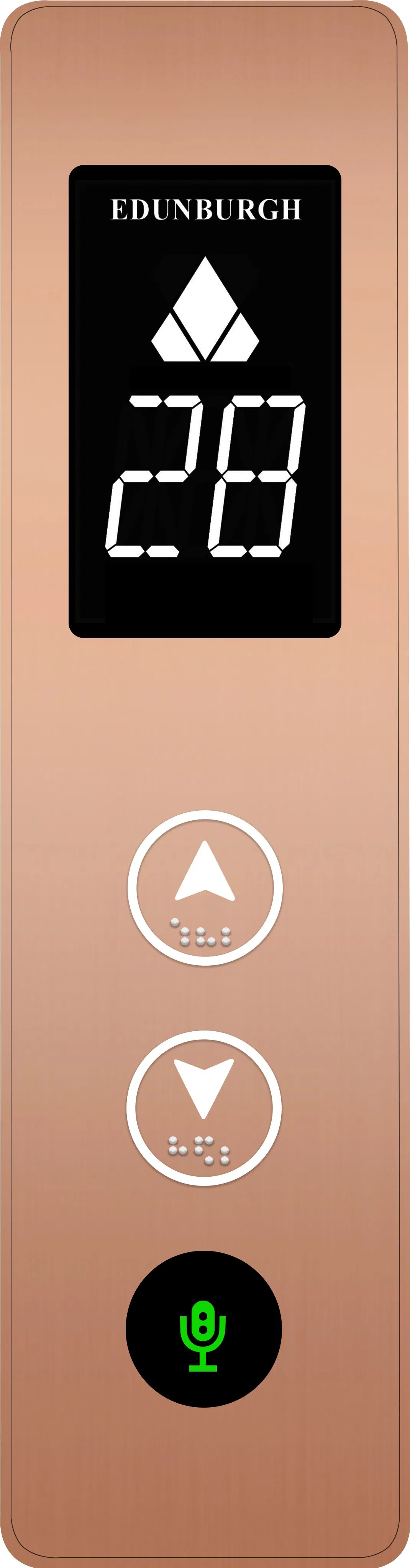 Edunburgh Brand Rose Gold Etched Sightseeing Villa Elevator, Luxury for Villa