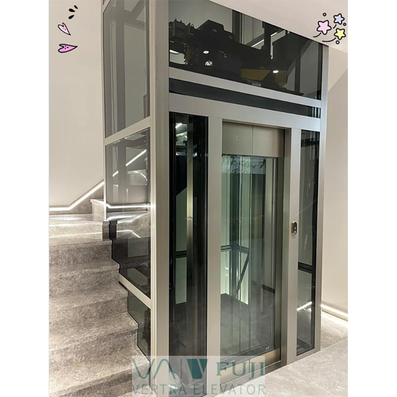 Panoramic House Elevator with Automatic Glass Door Villa Lift for Disabled Persons
