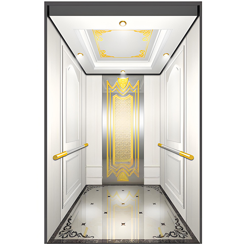 High Quality China Elevator Manufaturer Mr/Mrl Passenger Elevator Commercial Residential Use