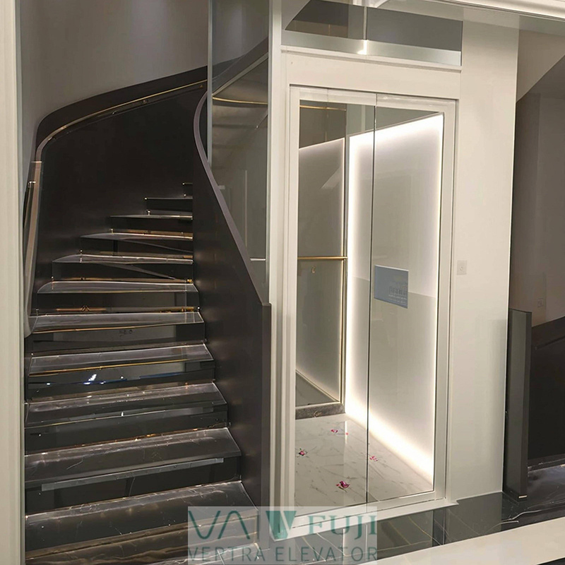 Panoramic House Elevator with Automatic Glass Door Villa Lift for Disabled Persons