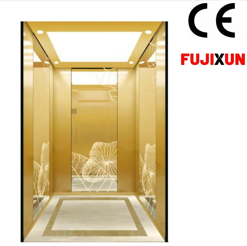 FUJI Xun Elevator Parts Residential Commercial Lift Parts Sightseeing Home Elevator