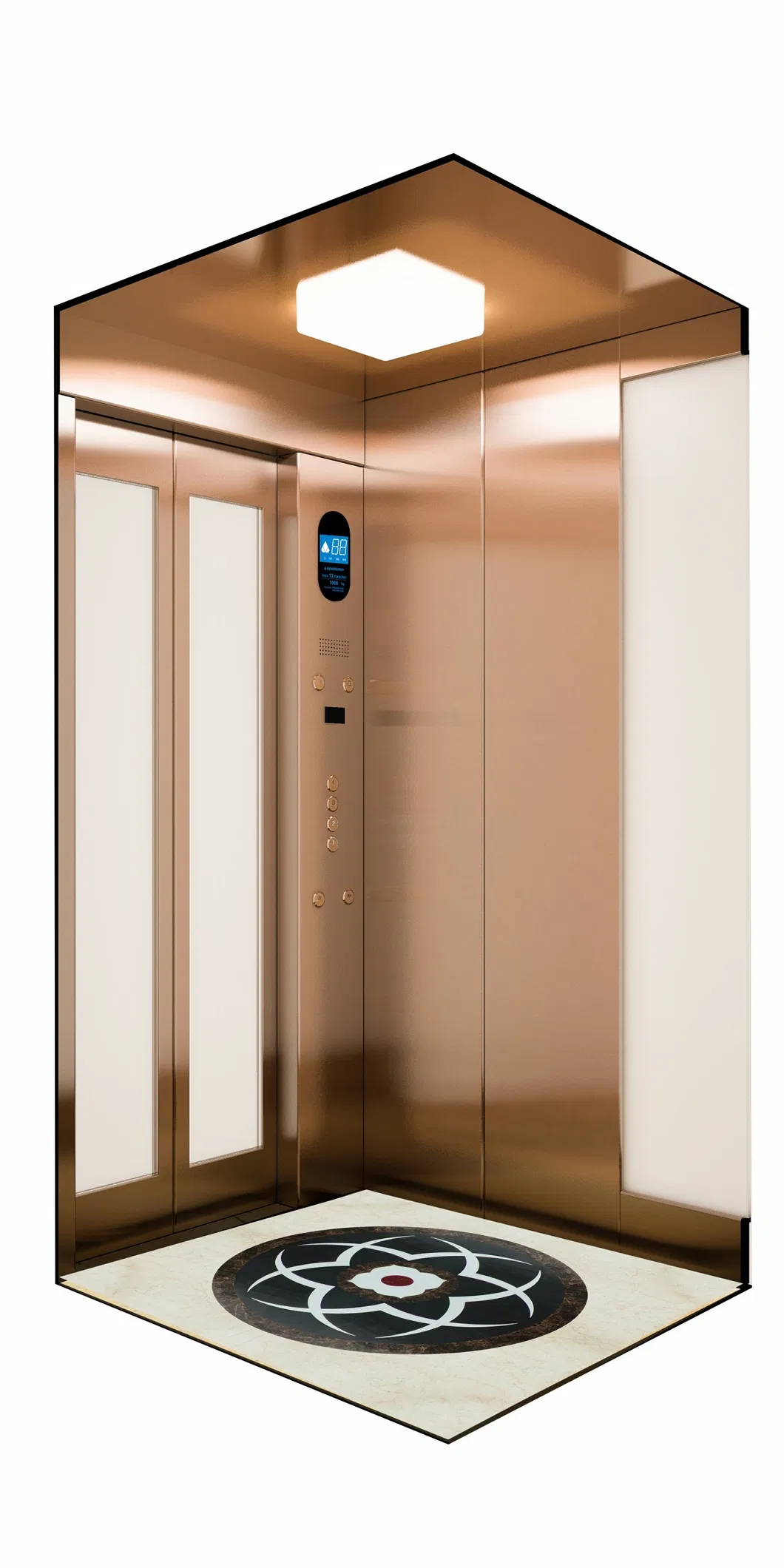 Sightseeing Villa Elevator