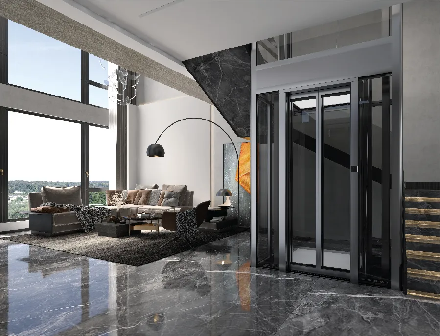 Passenger Elevator View