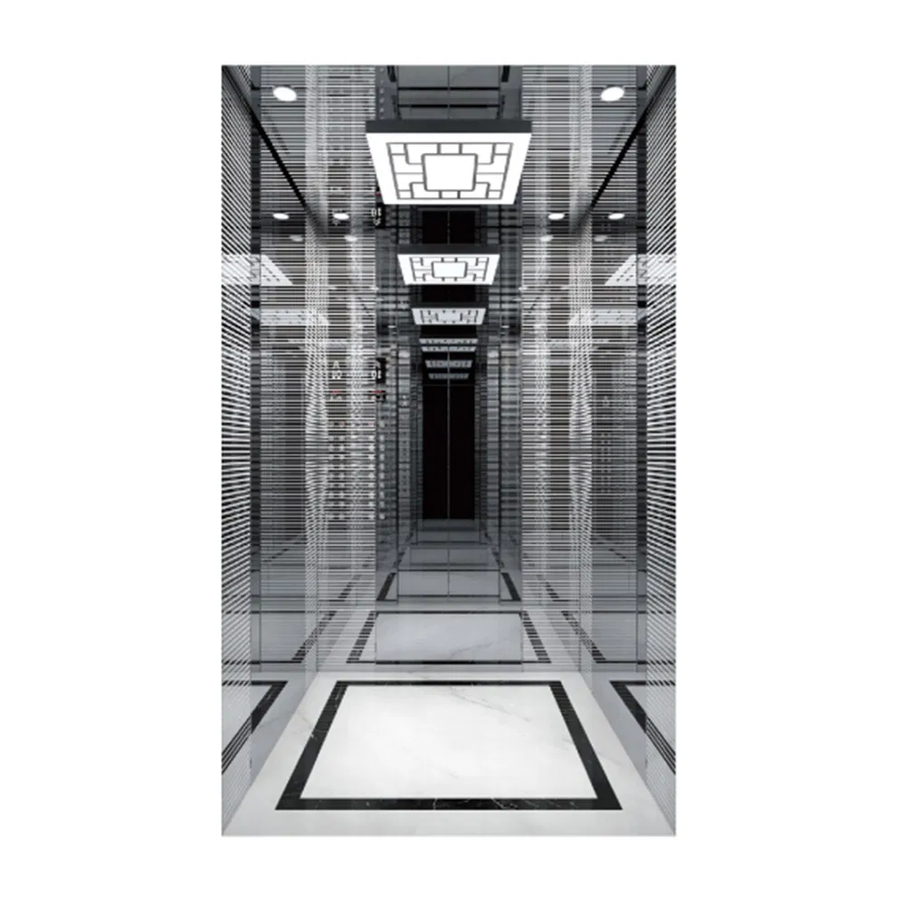 Chinese Custom Design Luxury FUJI Passenger Home Lift Price Residential House Elevator