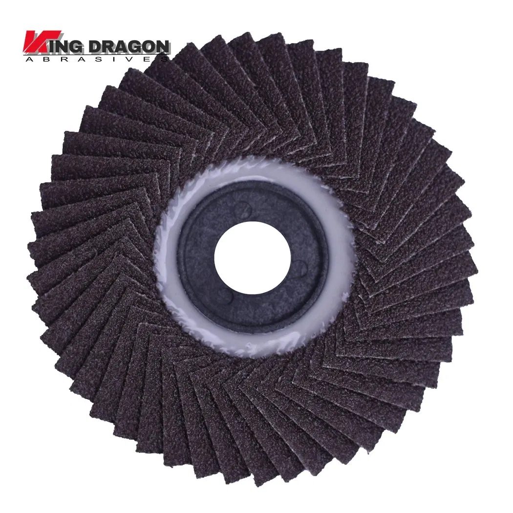 Flexible Flap Disc 1