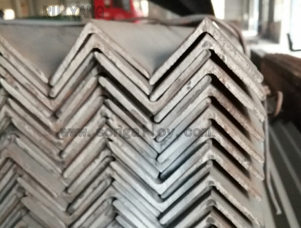 AISI Stainless Steel (201 304 304L 316 316L) Angle Bar