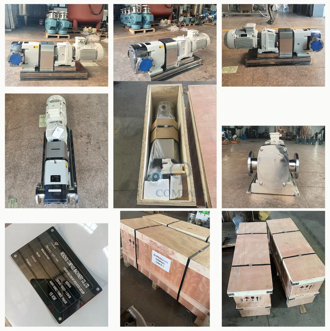 Sanitary Lobe Pump 3