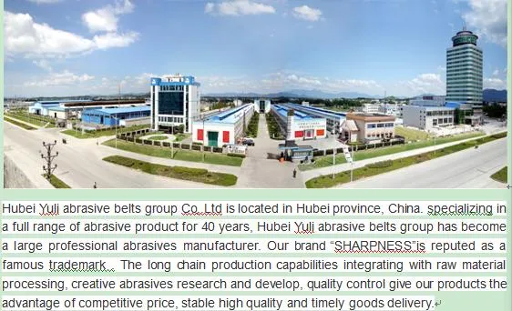 Product Application 1