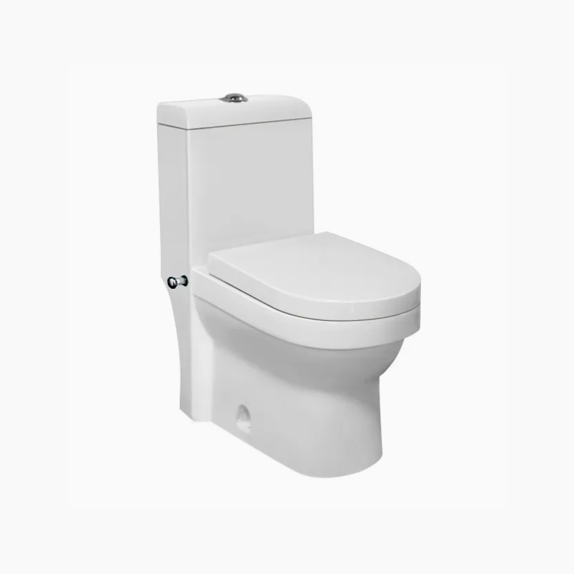 Iraq and MID East Market Muslim Sanitary Wc Toilet with Bidet Function