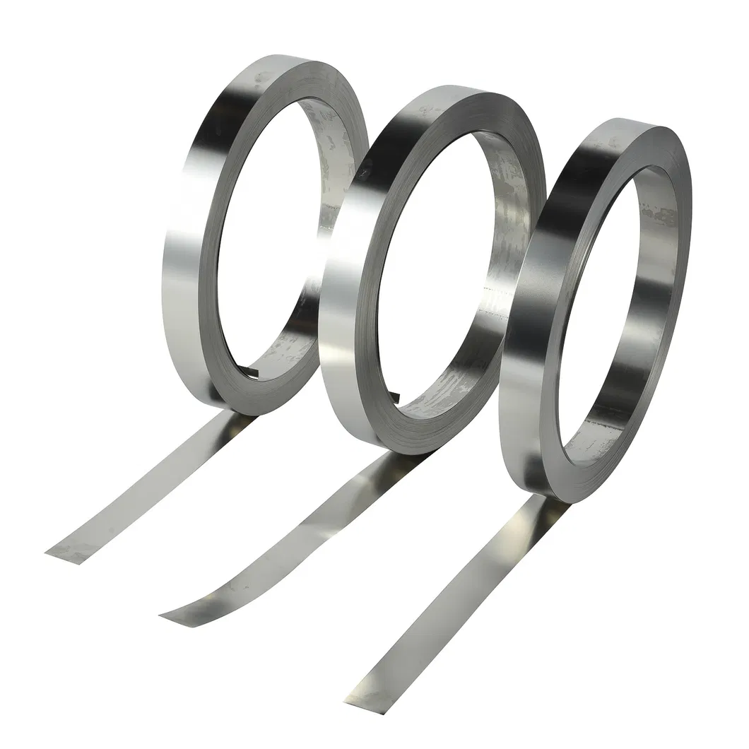 Stainless Steel Strip 4