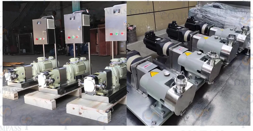 Sanitary Lobe Pump 2