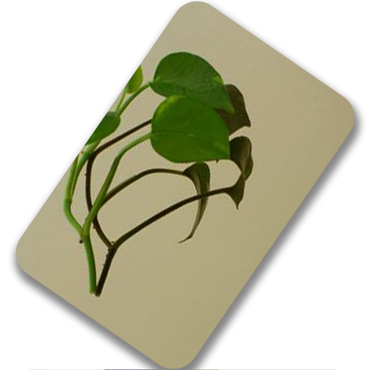 304 Grade 0.8mm Nickel Silver Color Mirror Finished Stainless Steel for Metalworking