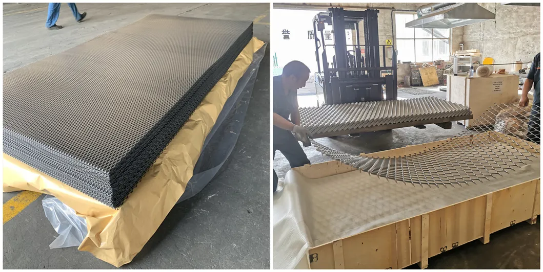 Expanded Mesh Overview