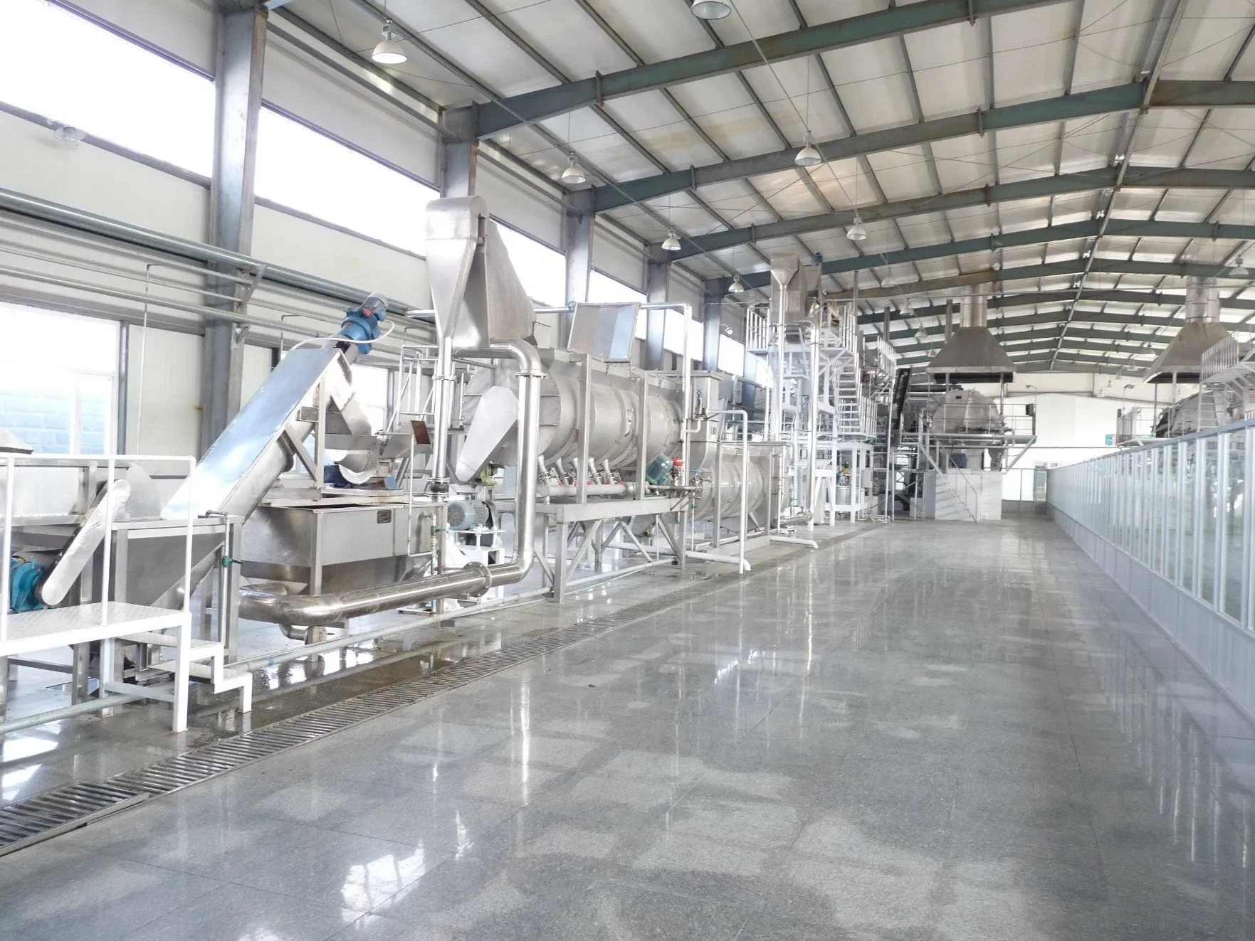 Easily Assembled Potato Flakes Production Line for High Efficiency