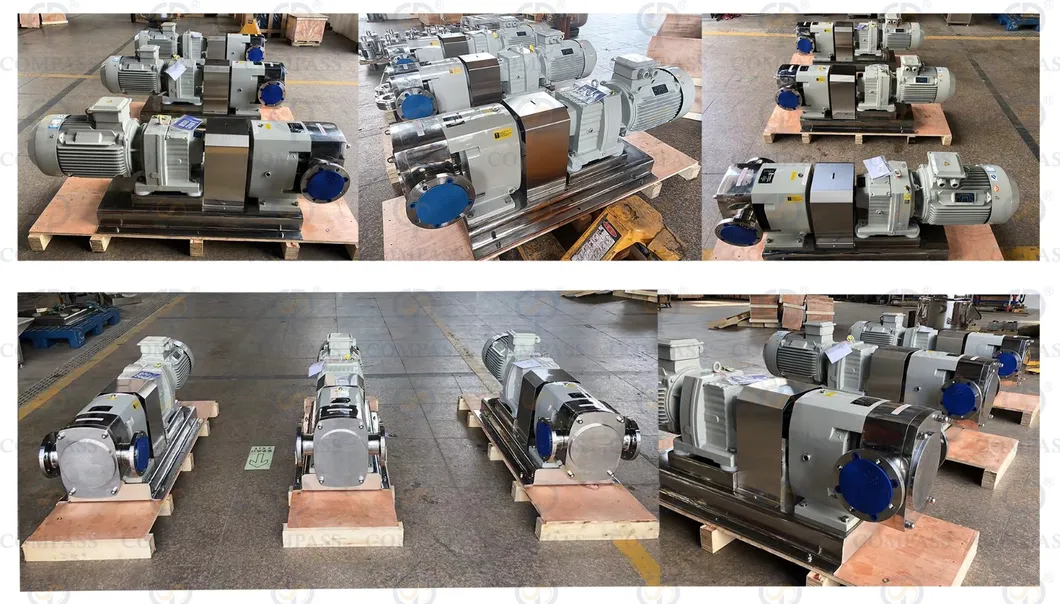 Sanitary Lobe Pump 1