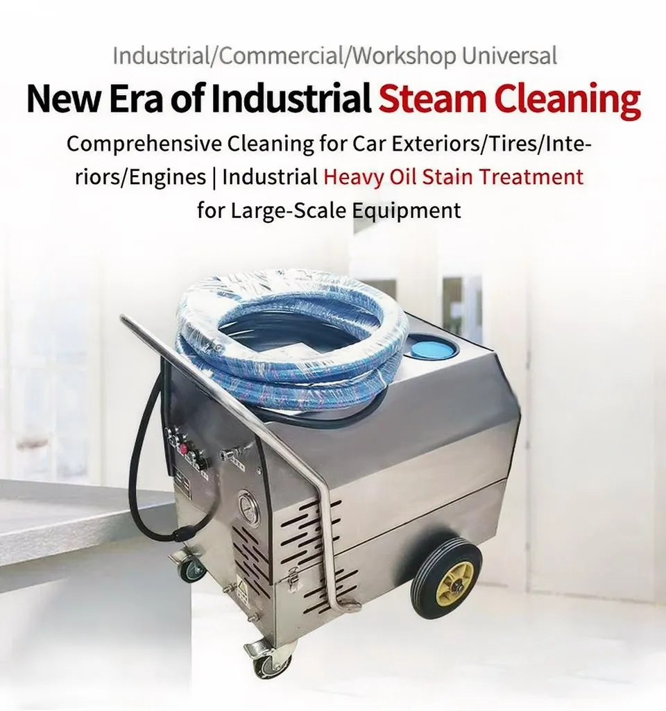 Steam Cleaner Overview