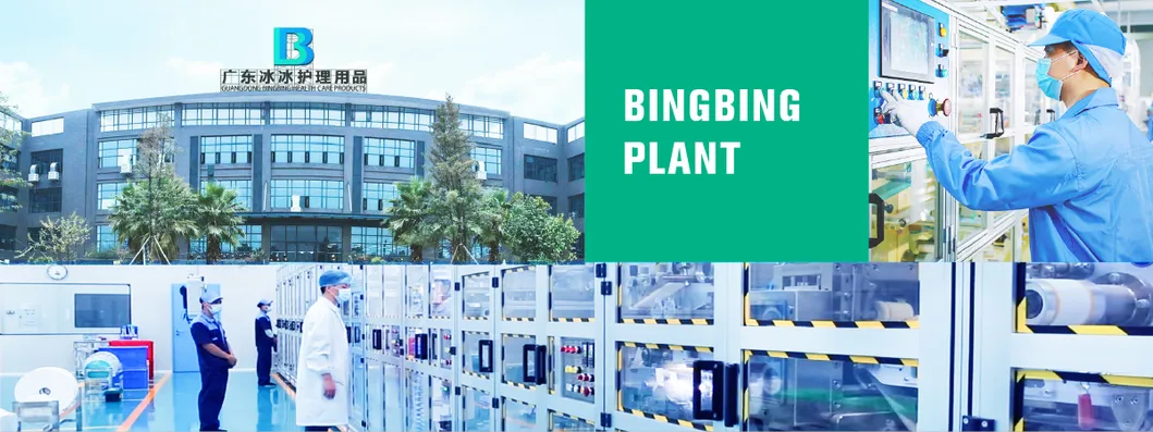 Organic Sanitary Napkin Overview